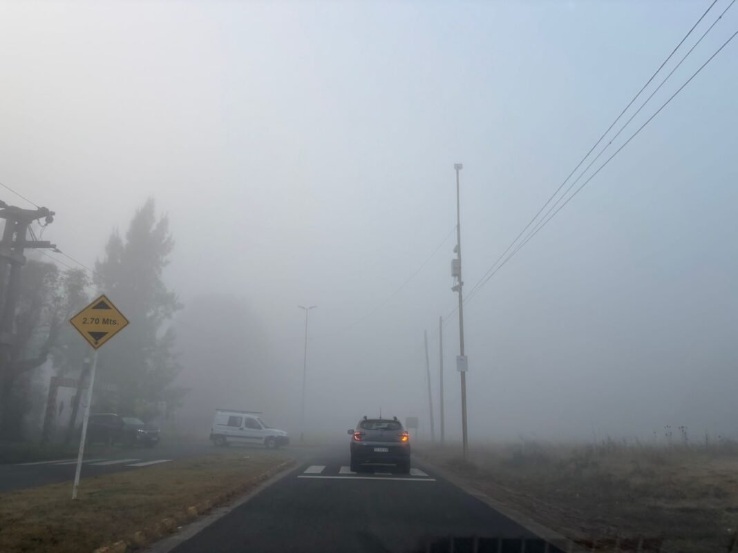 niebla-canning