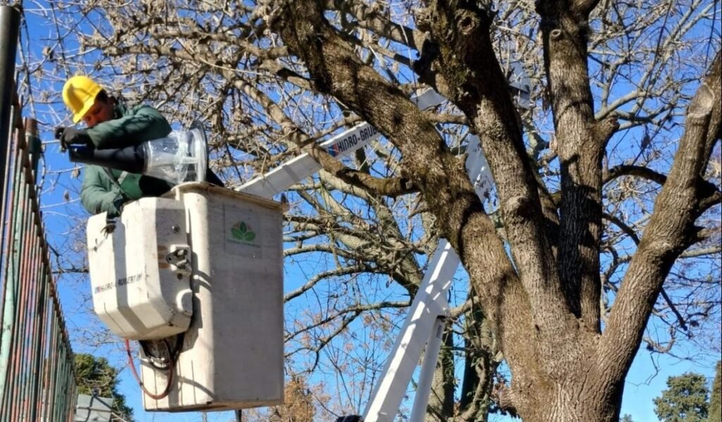 Luminarias LED Canning