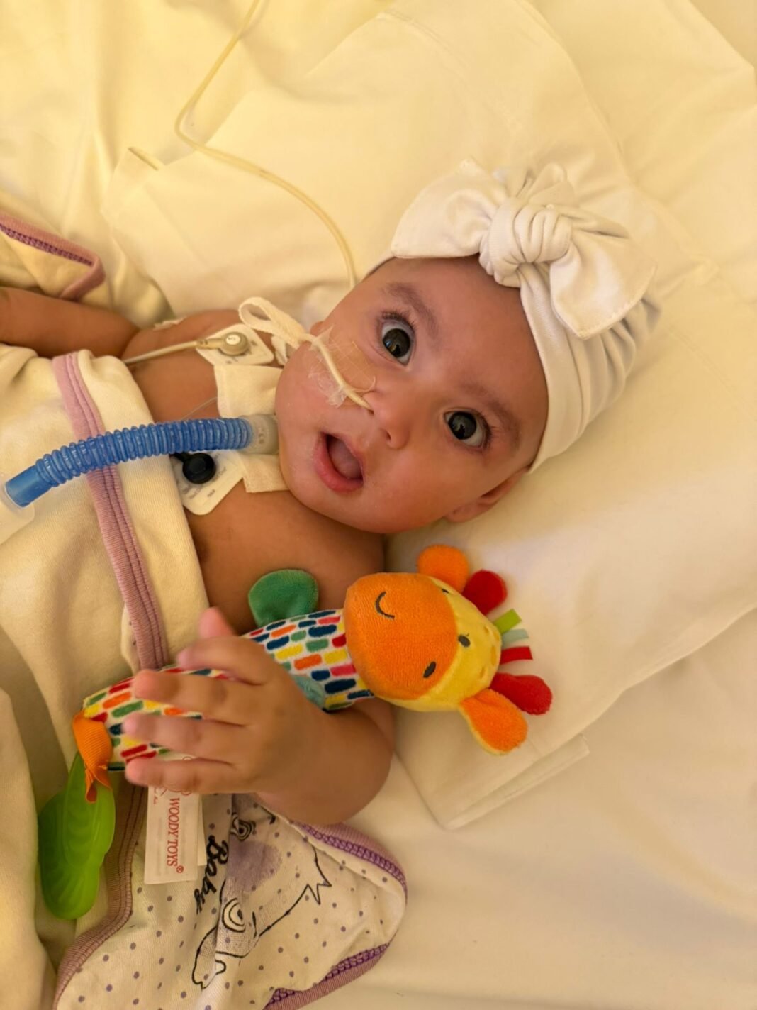 Canning bebé corazón